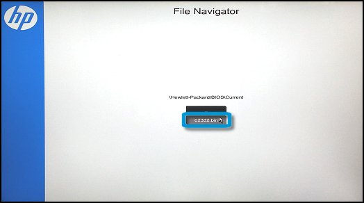 File Navigator: BIOS update file selection