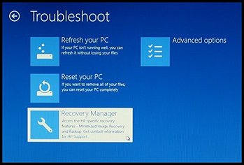 Troubleshoot screen with Recovery Manager selected
