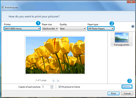Image: Example of Windows Photo Viewer Print Pictures menu