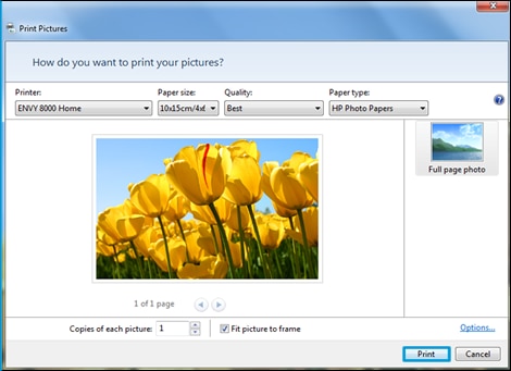 Example of the Print Pictures window