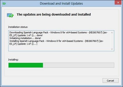 Image of a  language pack downloading