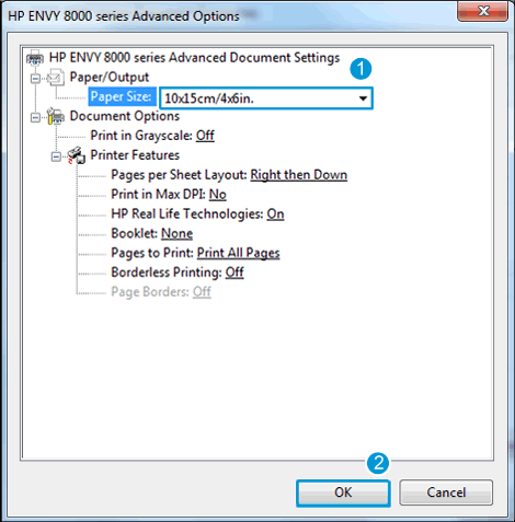 Image: Example of the Advanced Options window