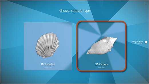 3D Capture selection in the 3D Capture menu