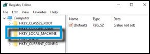 The registry edior window with HKEY_LOCAL_MACHINE highlighted