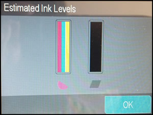 Example of estimated ink levels.