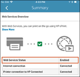 Web Services section when Web Services is enabled