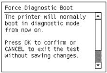 Image: Force Diagnostic Boot display
