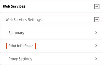Kattintás a Print Info Page lehetőségre engedélyezett webes szolgáltatások esetén