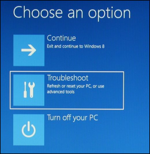 Choose an option screen with Troubleshoot selected