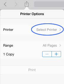 Selecionando uma impressora no menu Opções da impressora