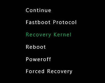 Recovery Kernel