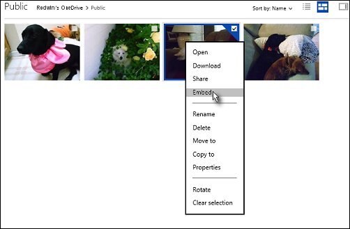 The Embed selection in OneDrive