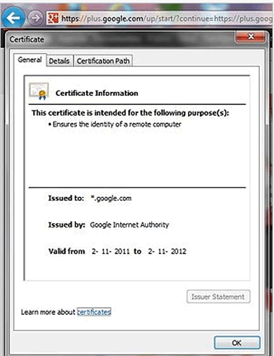 Wildcard сертификат. Сертификат с поддоменами. SSL сертификат с защитой поддоменов. Как выглядит Wildcard Certificate.