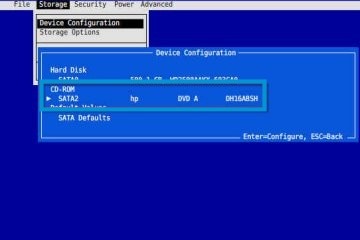 Eksempel på angivelse af cd-/dvd-drev i BIOS på stationære computere