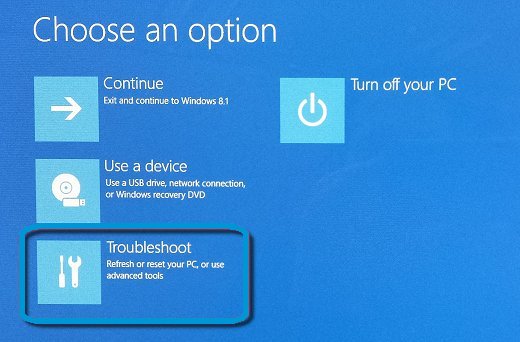Choose an Option screen with Troubleshoot selected