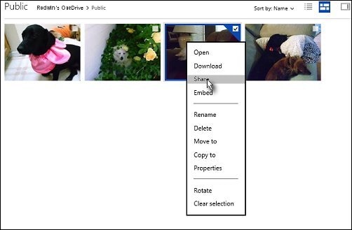 Share being selected from a list of options for a photo in OneDrive
