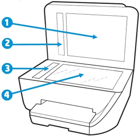 Clean the scanner glass and  under the lid, and any glass or white strips