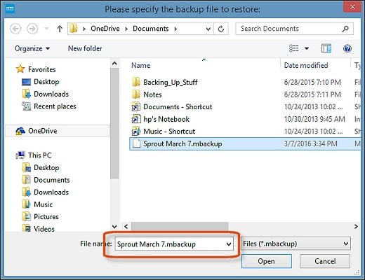 Specifying a backup file