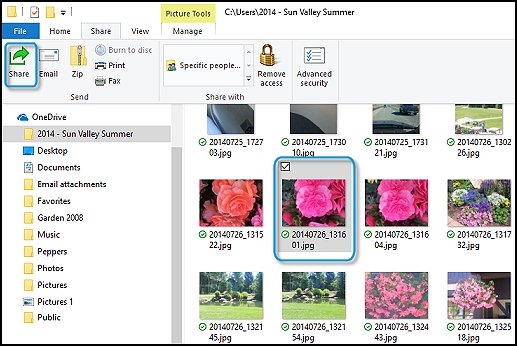 Selecting the file to share in File Explorer