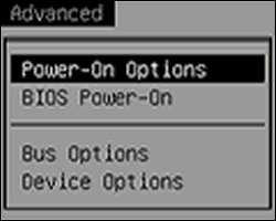Advanced menu in BIOS Setup Utility