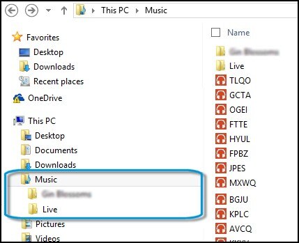 Windows Music folder