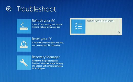  Troubleshoot screen with Advanced options selected