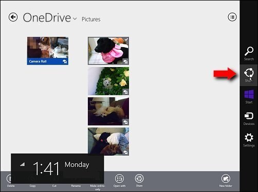 The Share charm in OneDrive