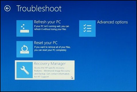 Troubleshoot screen with Recovery Manager selected