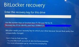 Example of the recovery key request screen