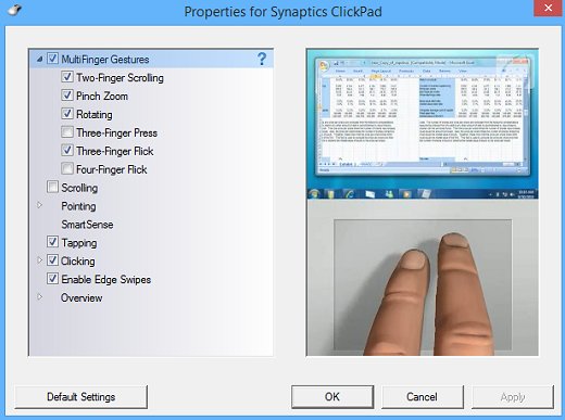 Synaptics 觸控板的觸控板內容頁面。