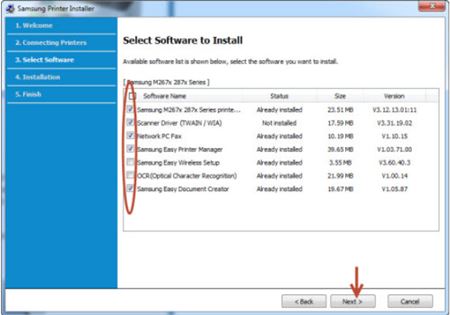 Image shows options of installing the software