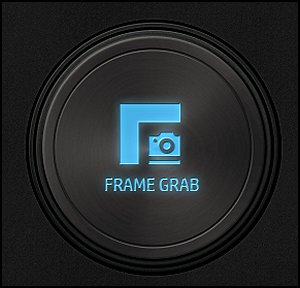 Frame Grab button