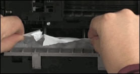 Image: Remove jammed paper from the inside the printer.