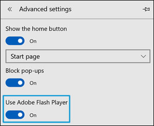 “使用 Adobe Flash Player”开关切换按钮的位置