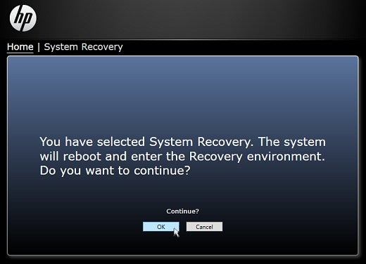Confirming choice to enter Recovery environment