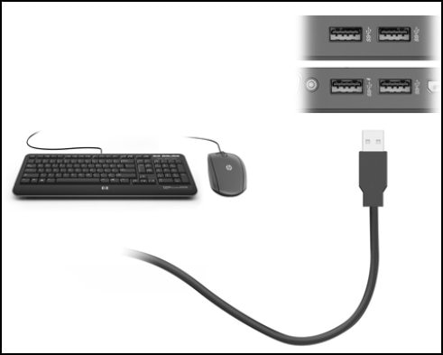 Connect USB mouse and keyboard to the ports on the dock.