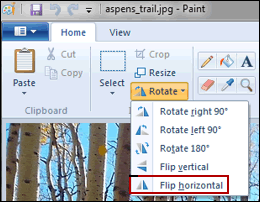 Select Flip horizontal in Paint to create reverse images
