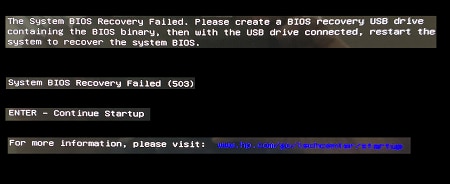 Erro de BIOS 503