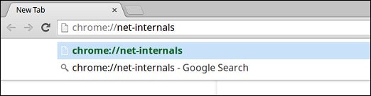 Chrome net internals URL in the omnibox