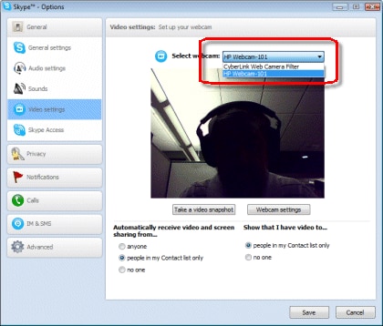 图片：在 Skype 视频设置上，高亮显示了网络摄像头。